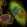 Anti-ZNF599 Antibody