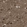 Anti-TMEM192 Antibody