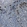 Anti-CLPTM1L Antibody