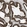 Anti-MBOAT2 Antibody
