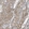 Anti-BCAR3 Antibody