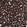 Anti-CYP2C9 Antibody