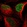 Anti-CACFD1 Antibody