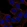 Anti-DEFA5 Antibody