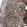 Anti-CDH20 Antibody