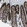 Anti-WNK2 Antibody