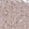 Anti-DCLK2 Antibody