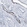 Anti-ACKR1 Antibody