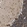 Anti-KDELR2 Antibody