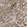 Anti-GPAT4 Antibody