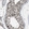 Anti-LMLN Antibody