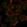 Anti-ABCG5 Antibody
