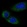 Anti-LMBR1 Antibody