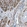Anti-TEX261 Antibody