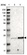 Anti-TEX261 Antibody