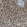 Anti-ASL Antibody