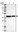 Anti-TMEM19 Antibody