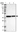 Anti-TMEM19 Antibody