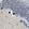 Anti-PTDSS1 Antibody