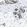 Anti-HNRNPH2 Antibody