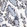 Anti-CD46 Antibody