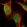 Anti-NEK11 Antibody