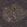 Anti-BST2 Antibody