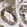 Anti-CFAP36 Antibody