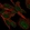 Anti-VSTM4 Antibody