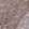 Anti-FRMD3 Antibody