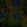 Anti-PLK4 Antibody