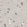 Anti-ZFPL1 Antibody