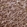 Anti-CHGA Antibody