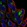 Anti-SLC6A4 Antibody