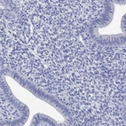 Immunohistochemical staining of human endometrium shows low expression as expected.