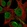 Anti-SGCE Antibody