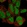 Anti-ZNF143 Antibody