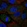 Anti-ADRA2B Antibody