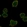 Anti-HSFY1 Antibody
