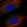 Anti-ASNSD1 Antibody