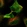Anti-GPX2 Antibody