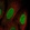 Anti-KMT5C Antibody