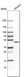 Anti-UBAC1 Antibody