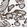 Anti-MRS2 Antibody