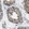 Anti-CLEC2D Antibody