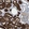 Anti-AKR1A1 Antibody