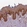 Anti-LSM14A Antibody