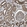 Anti-FZD6 Antibody