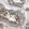 Anti-SMPD2 Antibody