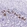 Anti-GUCA2A Antibody